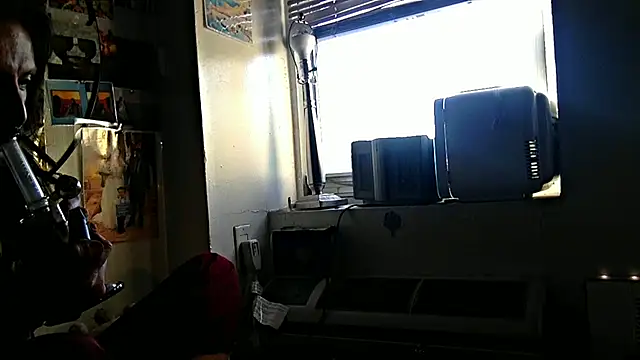 Show Webcam de DownstairsSky