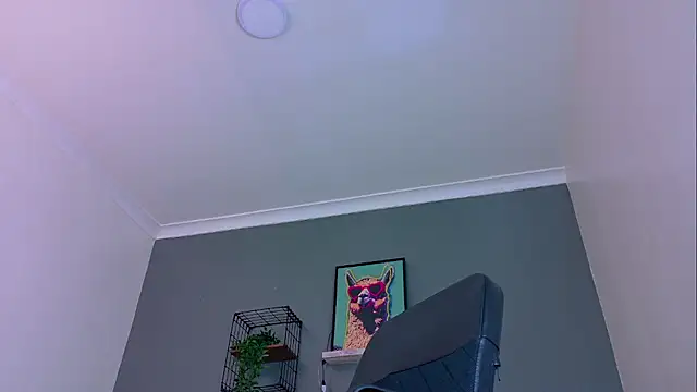 عرض كام MrFox__