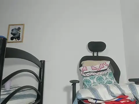 Show webcam de engelldior