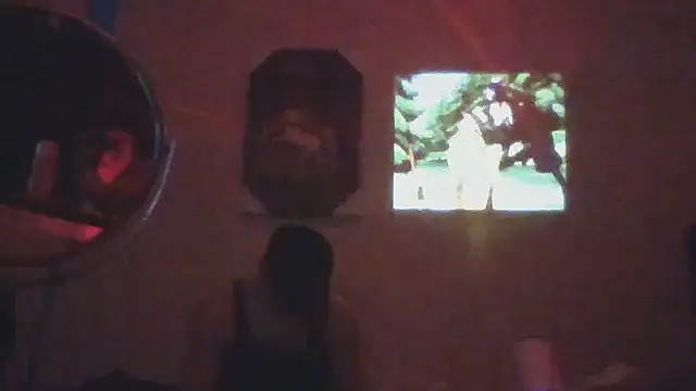 Show Webcam de hailzeffn