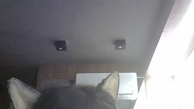 Show de webcam de SkinnyKitten