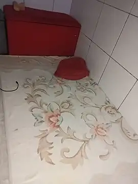 Chat +18 de TiagosafadoFortaleza ao vivo