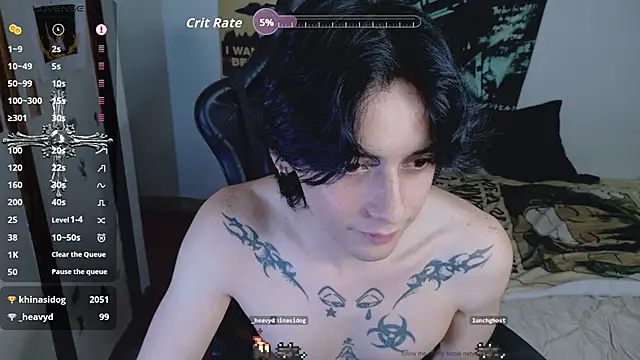 sai_l01 webcam show