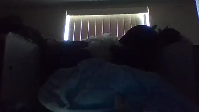 Chat XXX en directo de shag369