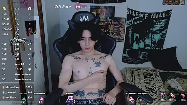 sai_l01 Webcam show