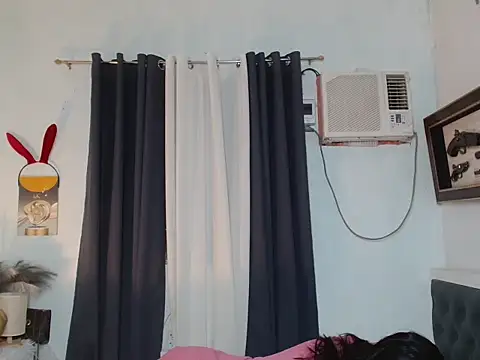 Sileves Show Webcam