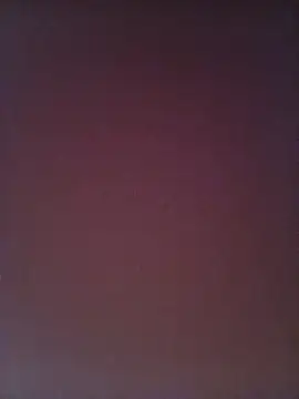 Ayesha_Khan1n Webbikameraesitys