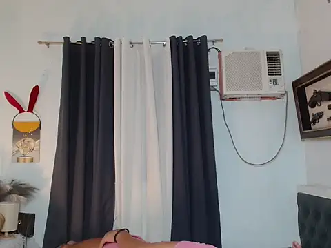 Sileves Show Webcam