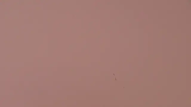SamanthaVega_'s Live XXX Chat