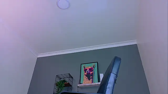 MrFox__ Live XXX-Chat