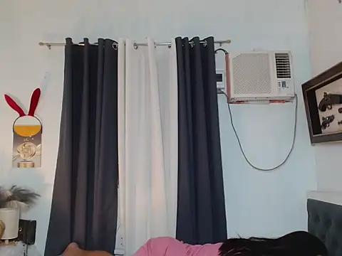 Sileves Show in webcam