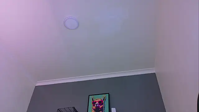 MrFox__ Adlı Modelin Web Kamerası Şovu