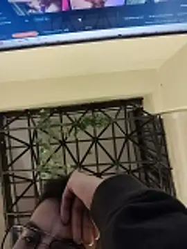 Živý XXX chat Juann-cock