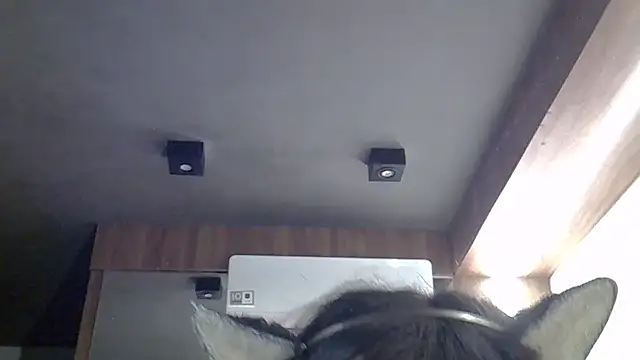Chat +18 de SkinnyKitten ao vivo