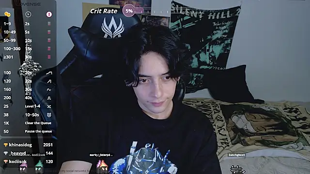 sai_l01 Show Webcam