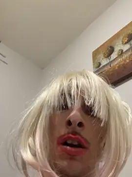Vaccachecola Webcamshow