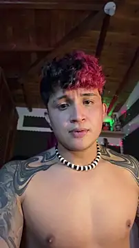 dylan_welsn Webbikameraesitys