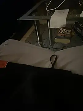 lickerete's Webcam Show