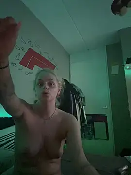 Ambri-n Webbikameraesitys