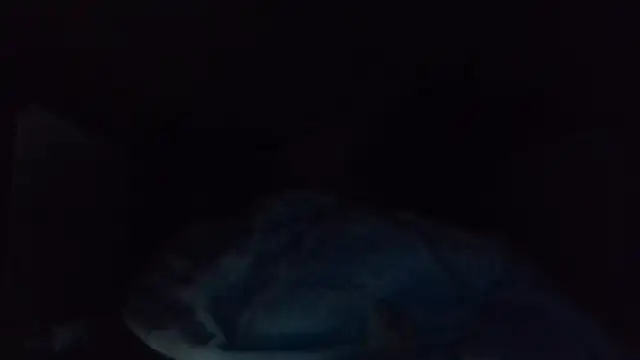 shag369 live XXX chat