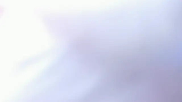 Extreme_Team8 Show Webcam