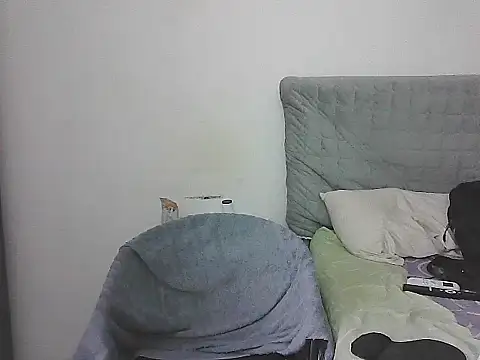 IronSideBear Show Webcam