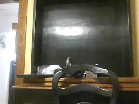 Show webcam de TheOneDonShaun