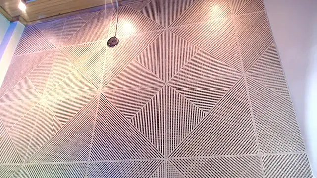 Dustin_Sonne Show Webcam