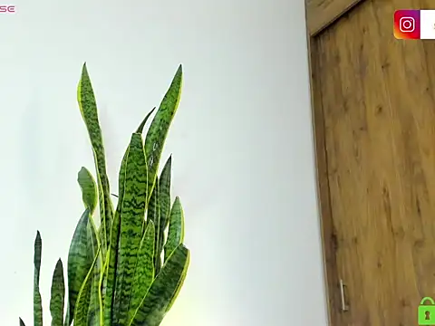 Živý XXX chat Seb4s_w01