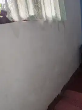 TropicalDuoSL Webcam-Show