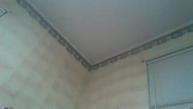 bigtiteclipse Webcam-Show