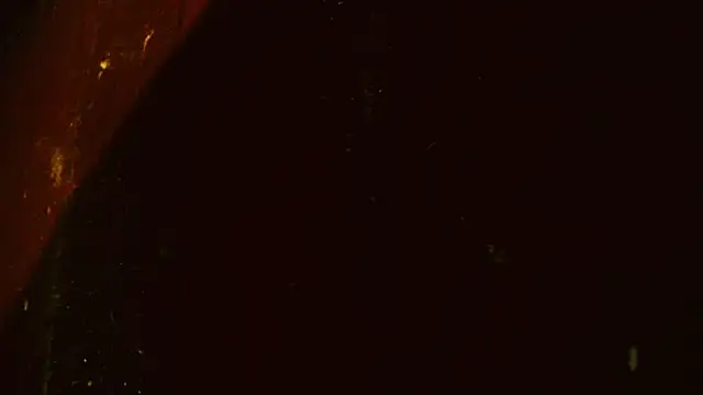 Gigadickman Live XXX-chat
