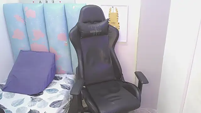 Show webcam de liam_play