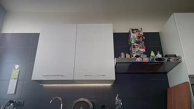 Show de webcam de theitalianbear