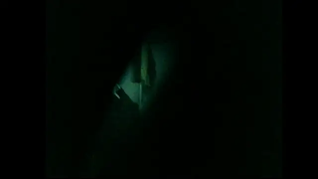 danistrial live XXX chat