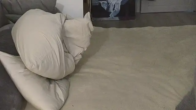 sw33theart_b0yn Webbikameraesitys
