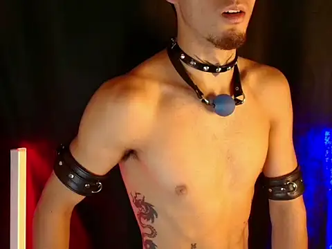 Show de webcam de dark_men1