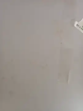 Queen_day's Webcam Show