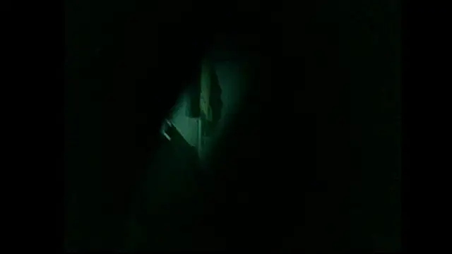 danistrialn Live XXX chat