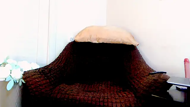 Live_View webcam show