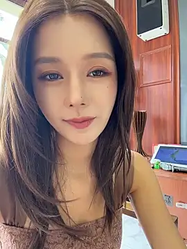 BBi-0329 Show Webcam