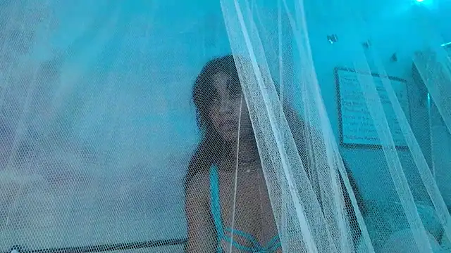 vegavyxen Webcam-Show