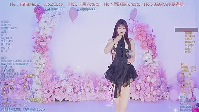 SSF-888 网络视讯表演