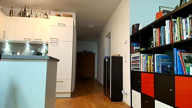 crazylemy Webcam-Show