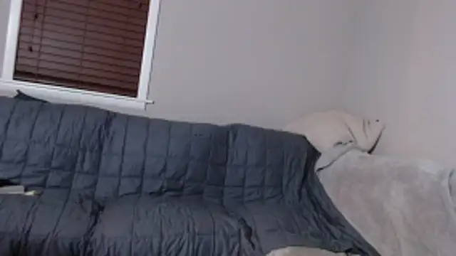 studlyhardwoodd – webcam-show