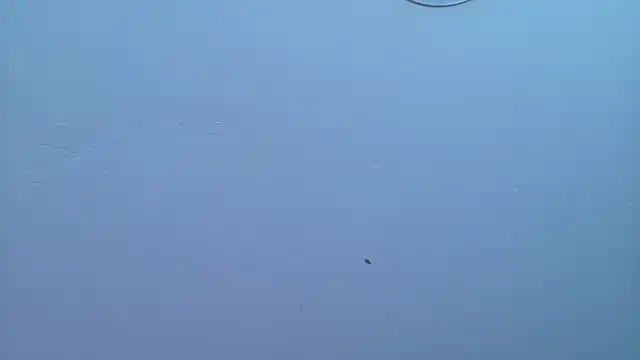 Kennya_Rodriguez Show Webcam