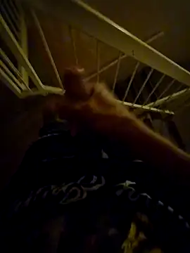 10inchdr Webcam Show
