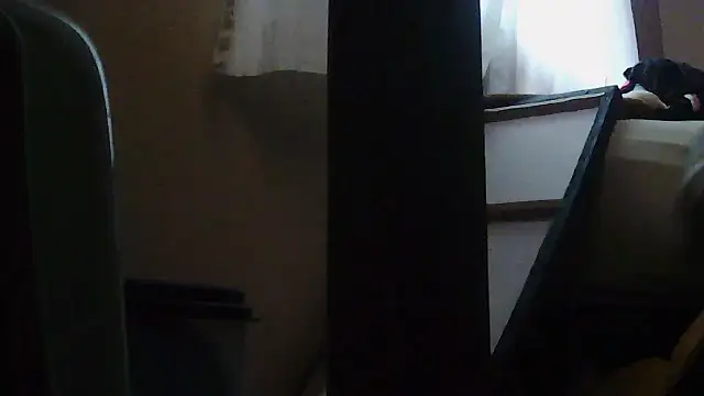 Вебкам-шоу PapaBearGap3dAnal