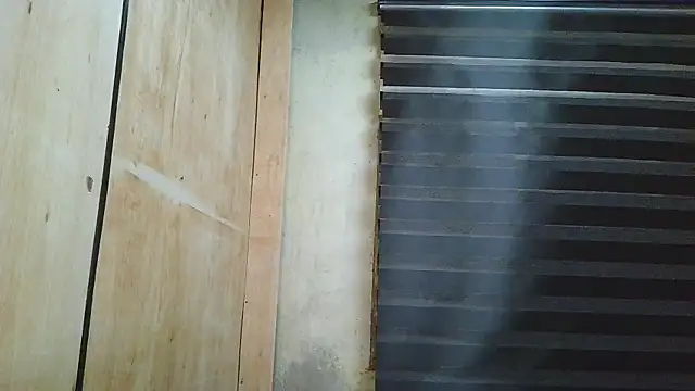 steinny_ Show Webcam