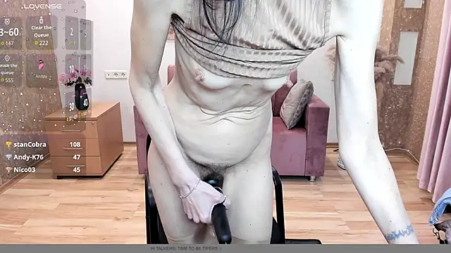 Dana_Halitin Webbikameraesitys